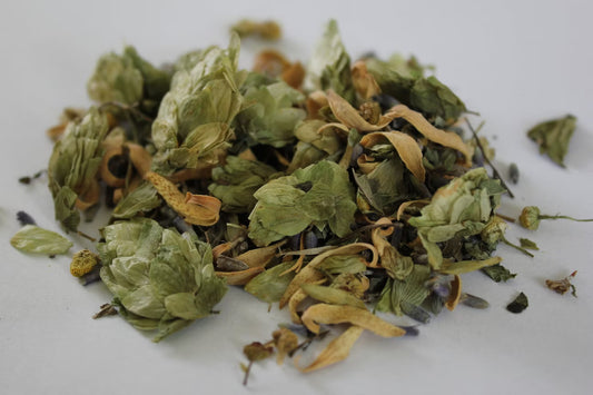 Blütentraum für die Nacht